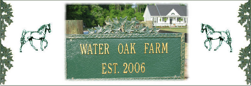 Water Oak Farm, South Carolina